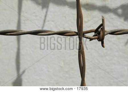BarbedWire