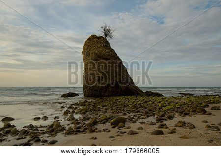 Beautiful green mossy at Batu Luang beach during sunset located at Kuala Penyu, Sabah, Malaysia