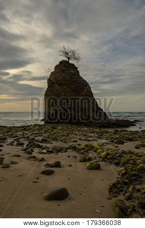Beautiful green mossy at Batu Luang beach during sunset located at Kuala Penyu, Sabah, Malaysia