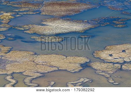 Bacteria pattern at Laguna Turquin Altiplano Bolivia