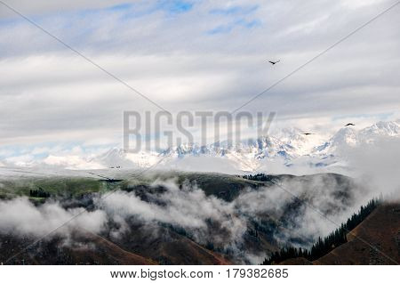Tianshan is one of the seven wonders of the world mountains, the East and West Tianshan mountains across China, Kazakhstan, Kyrgyzstan and Uzbekistan Shikoku, Tianshan is the world's largest and most magnificent mountains.