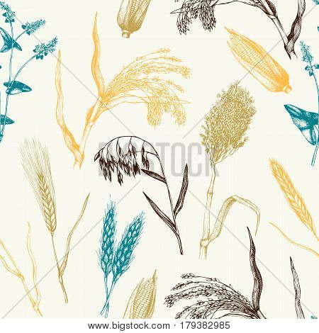 Vintage background with industrial crops illustration. Farm fresh and locally grown organic products illustration. Seamless