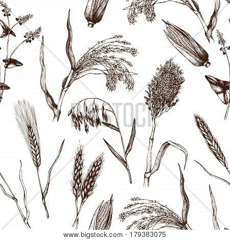 Vintage background with industrial crops illustration. Farm fresh and locally grown organic products illustration. Seamless
