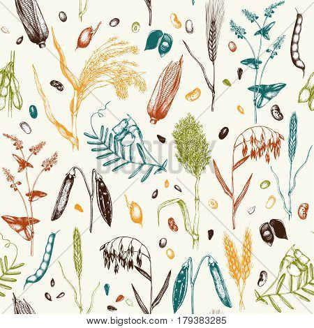 Vintage background with industrial crops illustration. Farm fresh and locally grown organic products illustration. Seamless