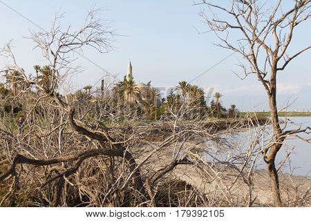 Hala Sultan Tekke Behind Tree Branches, Larnaca Salt-lake In Cyprus