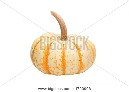 Pumpe Ke Mo Kürbis