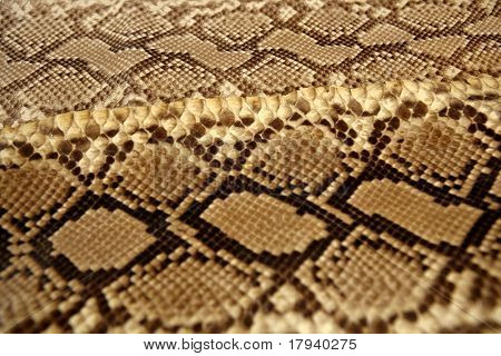 Hintergrund Schlange Muster braun und Beige Farbe der Haut