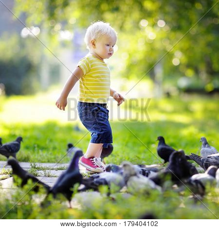 Toddler Boy Walking In The Park