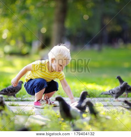 Toddler Walking In The Park And Feeding Pigeons