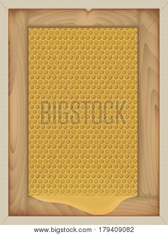 vector honey in the comb in a wooden frame. resulting puddle of honey. pattern in yellow colors