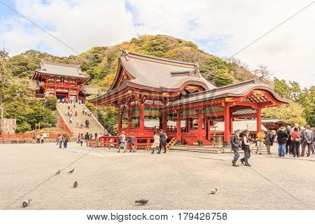 KAMAKURA JAPAN - APRIL 14 2014: Tsurugaoka Hachimangu Shrine on April 14 2014 in Kamakura Japan. One the most important Shinto shrine in Kamakura and an Important Cultural Property of Japan