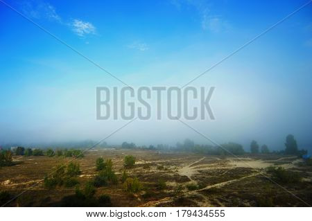 Landscape with fog and blue sky. Trees in the morning mist
