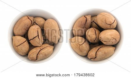 Whole Sweet Fried Pecan Nut Or Carya Illinoinensis With Cracked Shell Isolated