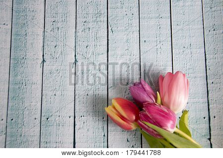 Spring
