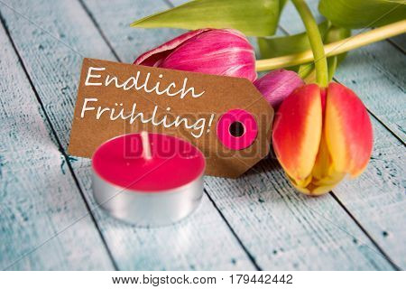 Frühling - The German Word For Spring