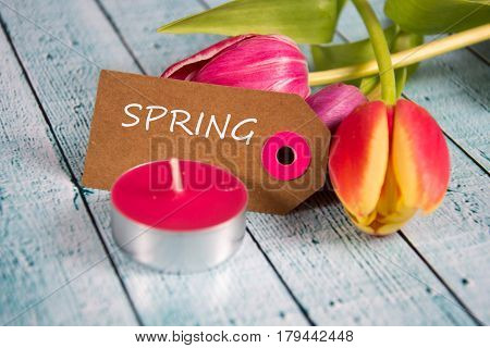 a colourful spring background with beauitiful tulips