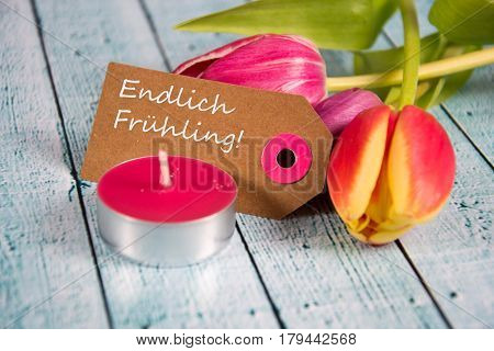 Frühling - The German Word For Spring