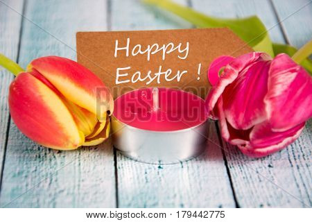 a colourful easter background with beauitiful tulips
