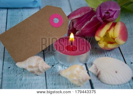 a colourful spring background with beauitiful tulips