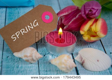 a colourful spring background with beauitiful tulips