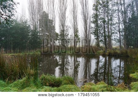 Tranquil Lake With Smooth Water Surface