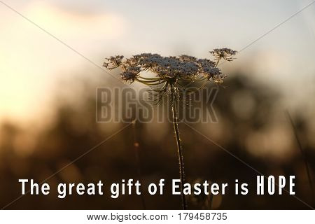 Easter quote on landscape background. Holiday celebration concept