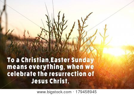 Easter quote on landscape background. Holiday celebration concept