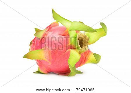 Stenocereus isolated on a white background with clipping path