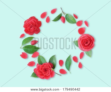Frame of red Camellia flowers leaves and red petals on cyan background. Flat lay top view. Frame of spring flowers. Isoleted. Camellia brooch sticker patch