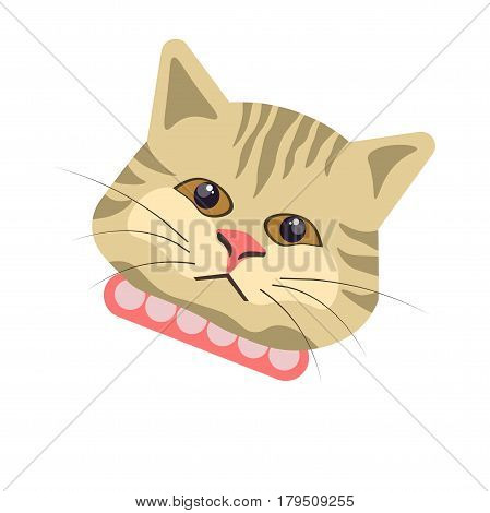 Egyptian mau cat close up portrait looking at you. Vector colorful illustration in flat design of striped domestic animal with hazel eyes, black whiskers and pink spotted decorative neck belt