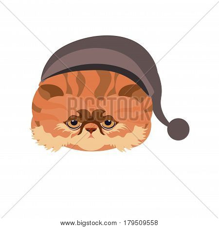 Persian cat in hat with ball isolated on white. Vector colorful illustration in flat design of young domestic animal breed with long red hair and big round eyes under cap in triangular shape