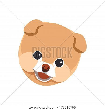 Pomeranian spitz breed puppy looking on you close up vector illustration with white background. Portrait of isolated fluffy smiling young domestic dog with short beige hair, black round eyes