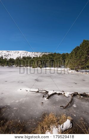 Winter Landscape Of Frozen Lagoon In Neila Lagoons Park In Burgos Demanda Mountain Range Castilla Y 