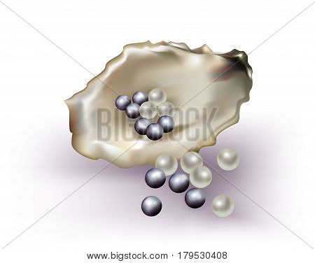 Mixed white and black pearls on white background