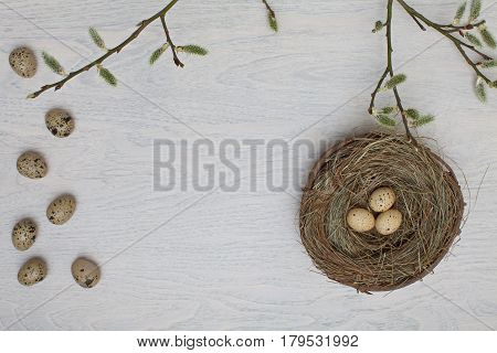 Spring flowers and colorful easter eggs frame.