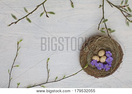 Spring flowers and colorful easter eggs frame.