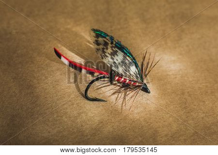 Macro shot of a black and green wet fly fishing fly, Calder