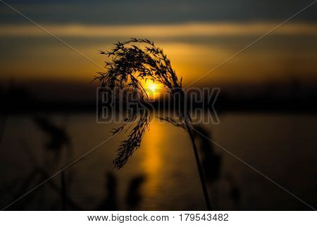 Sunset on the Irpin River in the town of Irpen, the Kiev region