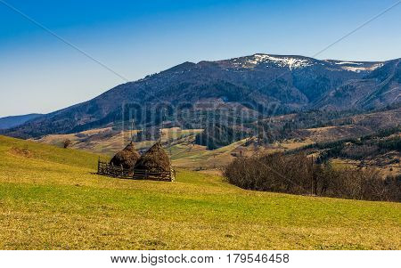 agricultural field on a hillside with haystacks on a green grassy meadow. beautiful springtime morning in mountains