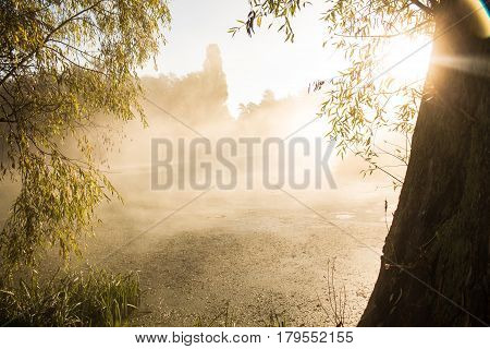 Morning fog on the Irpen river in the town of Irpin