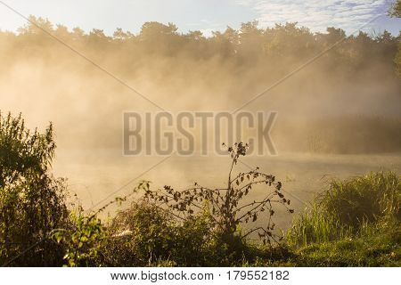Morning fog on the Irpen river in the town of Irpin