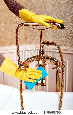 Female hands in gloves cleans sanitary equipment