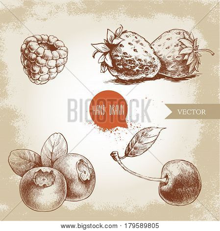 Hand drawn sketch style berries set. Raspberry strawberry cherry and blueberry. Healthy fruit and berry vector illustration.