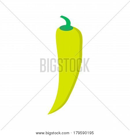 Chilli pepper isolated on white background. Chili chile pepper fruit of plants from the genus Capsicum. Red hot pepper icon realistic illustration in flat style . Kitchen spice condiment