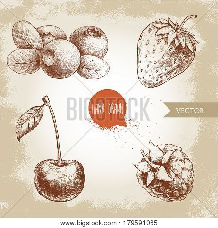 Hand drawn sketch style berries set. Raspberry strawberry cherry and blueberry. Healthy food vector illustration.