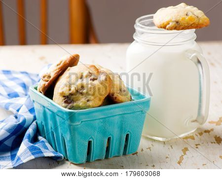 pecan and chocolate cookies.style rustic. selective focus