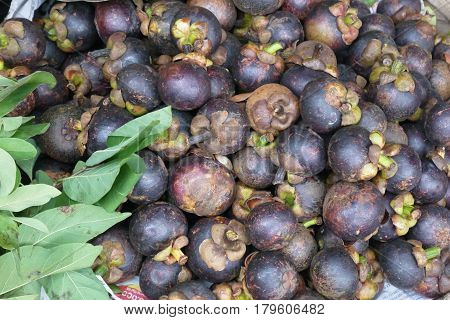Mangostin - fruit on appearance looks as pomegranate, it is covered with a thick crust of violet color. Under a peel there is a white pulp consisting of 8 segments.