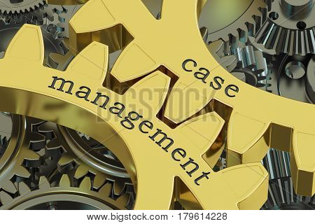 case management concept on the gearwheels 3D rendering