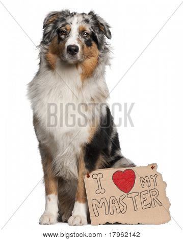 Australian Shepherd dog, 10 months old, sitting in front of white background with sign