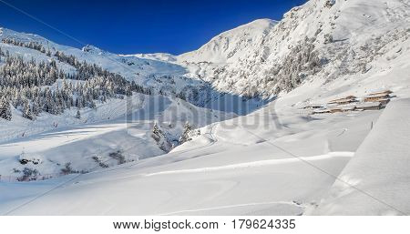 Trees Covered By Fresh Snow In Austria Alps - Zillertal Arena, Austria.